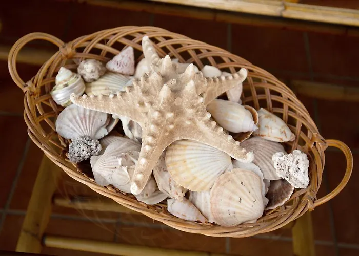 بيت للعطل El Cortijo