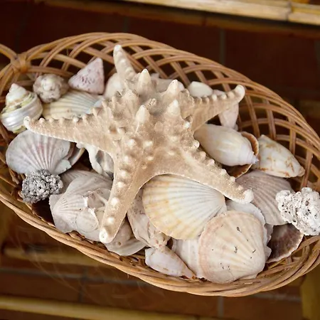 Prázdninový dům El Cortijo